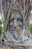Strange_FunnyTrees_Have_a_Look__14se.jpg