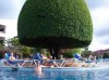 beautiful-trees-perfect.jpg