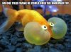 No one told frank he could breathe underwater.jpg