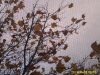 PICT2842.jpg