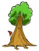 kidbigtree.jpg