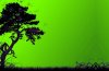 -Green-Tree-Fresh-New-Hd-Wallpaper--.jpg