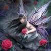 rose fairy.jpg