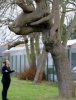 a.baa-Strange-tree-formation.jpg