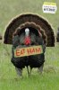 lo-thanksgiving_humor_eat_ham_turkey-810472.jpg