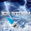 ICE STORM.jpg