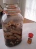 IMG_20110514_185328.jpg
