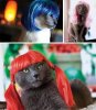 glamourpuss_images.jpg