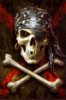 pirate 1.jpg