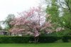 20110424_2.jpg