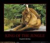 demotivational-posters-king-of-the-jungle.jpg