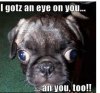 eye on you.JPG