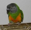 IMG_0045.jpg