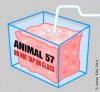 animal57.jpg