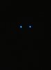 20131127_161305.jpg