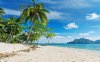 sunny-tropical-beach-palms.jpg