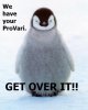 penguin-chick.jpg
