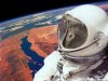normal_monkey_astronaut.jpg