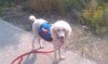 IMAG0440.jpg
