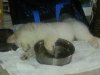 Buddy nap 2.jpg