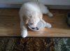 buddy2.jpg