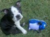 2010-07-16 18.51.26.jpg
