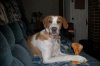 100_0086b.jpg
