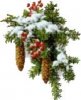 Christmas pinecones.jpg
