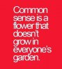 Common sense.jpg