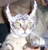 tin_foil_hat.jpg