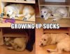 Growing Up Sucks.jpg