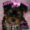 DaleNewYears1_zpse723d6b2.jpg