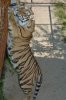 Picture 048.jpg