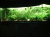 IMG_20130422_140508.jpg