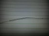 Tiger Wire.jpg