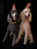party-time-1.jpg