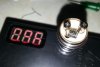 tiger coil1.jpg