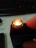 tiger coil 2.jpg