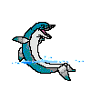 dolphin.gif