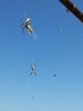 20120801_114129.jpg