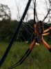 20120717_090151.jpg