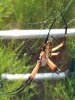 20120717_090138.jpg