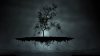 Tree floating.jpg