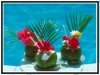 PalmTiniPic1.jpg