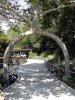two-leg-tree.jpg