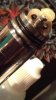 IMAG0654.jpg