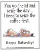 happy Saturday.jpg