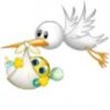 stork2.jpg