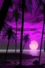 iphone-Purple-Sunset.jpg