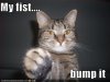 funny-pictures-cat-offers-fist.jpg